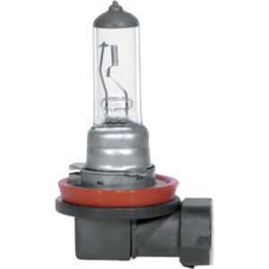 Lâmpada Halógena H11 PGJ19-2 | Gauss